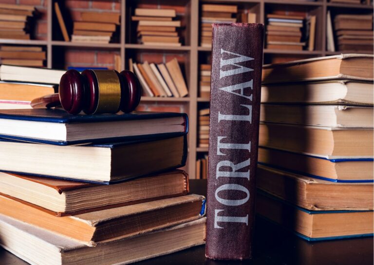 Tort Law for Professionals