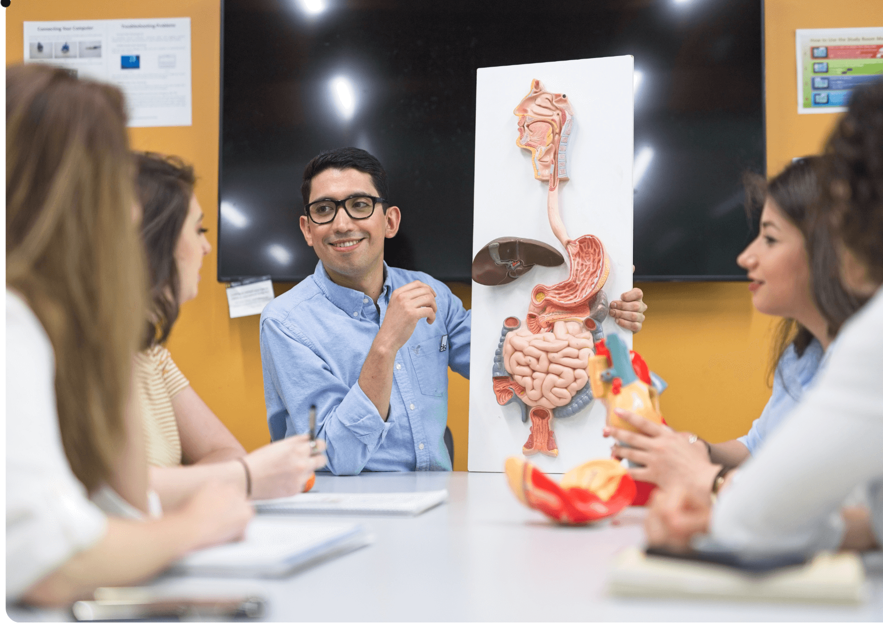 Anatomy and Physiology Online Course