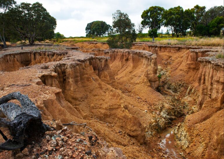 Overview of Land Management