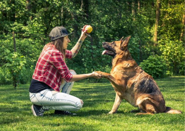 Guide Dog Trainer Training