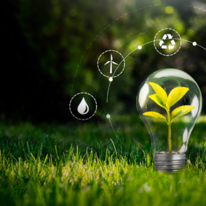 Sustainability Compliance and Governance