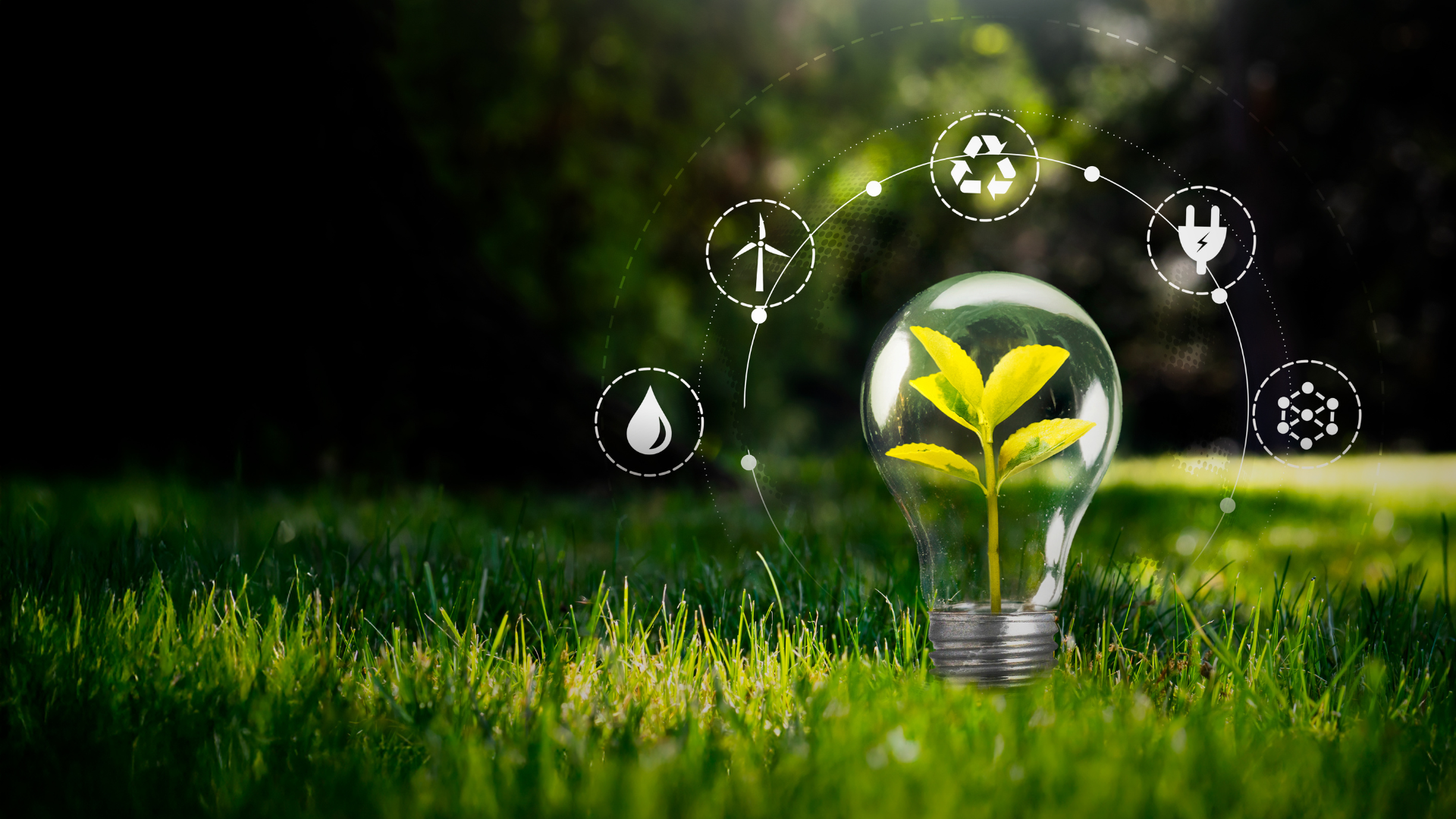 Sustainability Compliance and Governanc Thumbnail