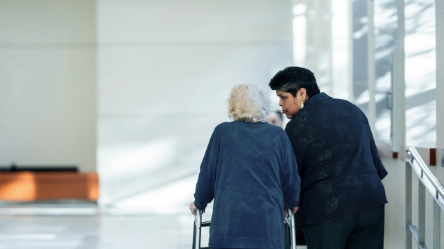 What Is PIES In Health And Social Care? How The PIES Model Supports Person-Centred Care Thumbnail
