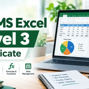 MS Excel Level 3 Certificate